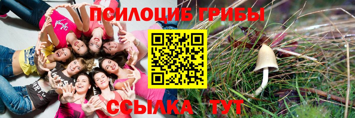 Псилоцибиновые грибы ЛСД  Галлюциногенные грибы Magic Shrooms  Екатеринбург  Вход с VPN 